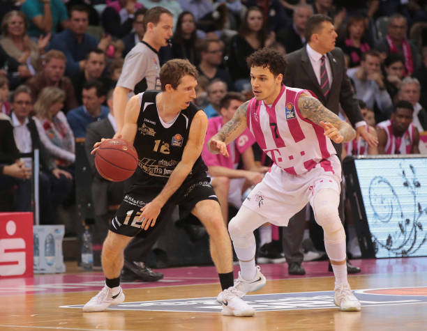 小蜘蛛展示 小蜘蛛展示